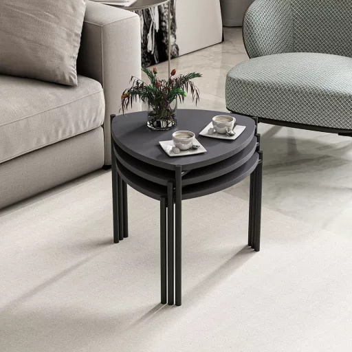 Set de mese de cafea 3 piese, antracit