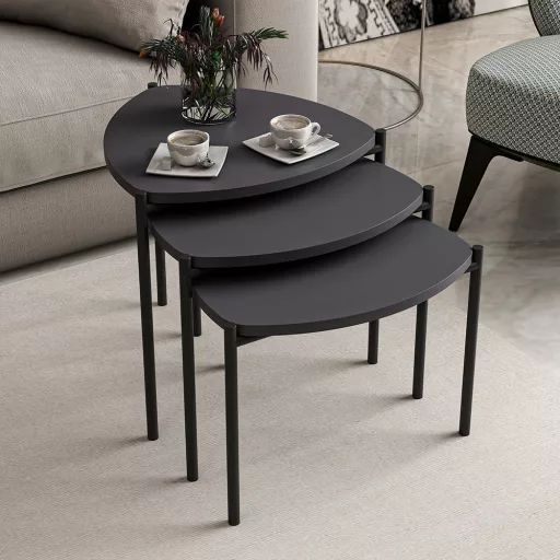 Set de mese de cafea 3 piese, antracit