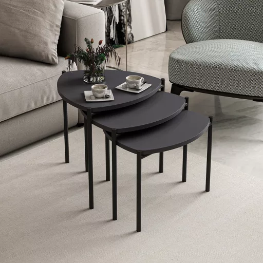 Set de mese de cafea 3 piese, antracit