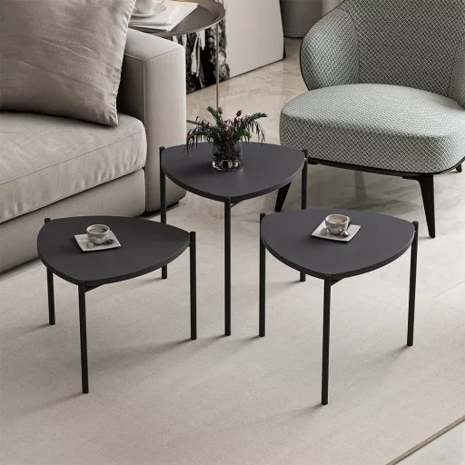 Set de mese de cafea 3 piese, antracit