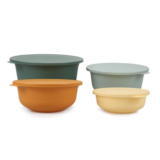 Set de recipiente pentru depozitarea alimentelor, 4 piese