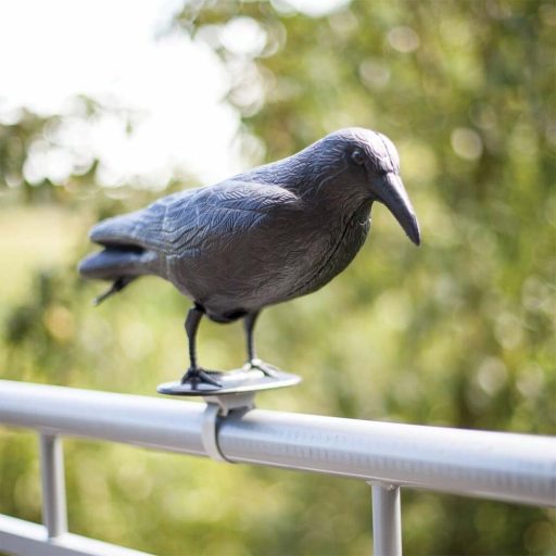 Sperietoare pasari in mai multe tipuri