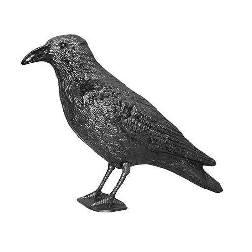 Sperietoare pasari in mai multe tipuri