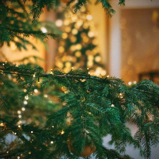 Ghirlanda luminoasa cu LED-480 LED-uri-alb cald