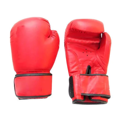 Set de box junior cu manusi-marime 10