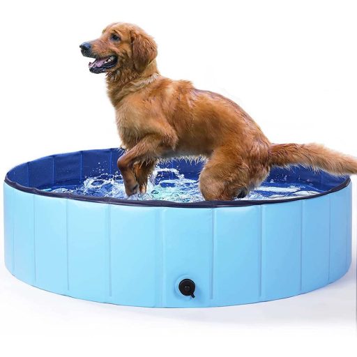 Piscina pentru caini