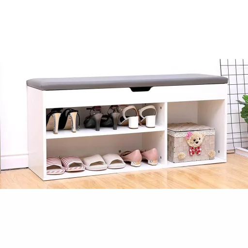 Banca de depozitare pantofi cu sezut captusit