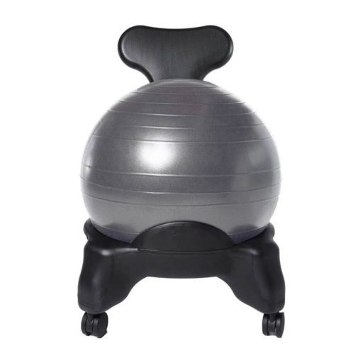 Scaun fitness cu minge de 55cm si pompa