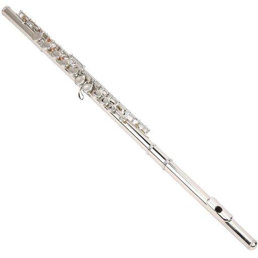 Set flaut cu multe accesorii in geanta de umar