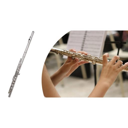 Set flaut cu multe accesorii in geanta de umar