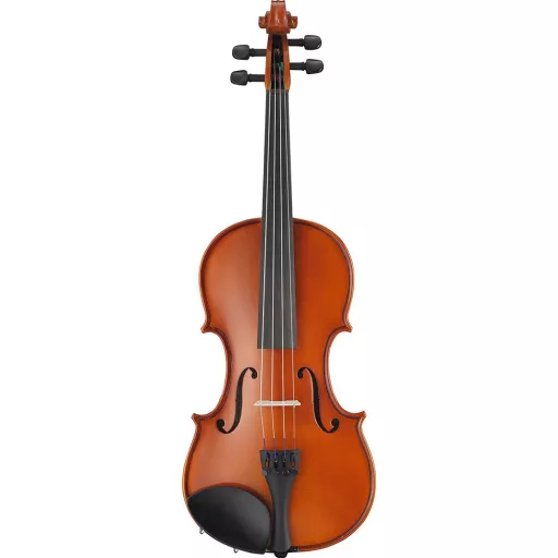 Set vioara acustica in carcasa