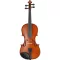 Set vioara acustica in carcasa
