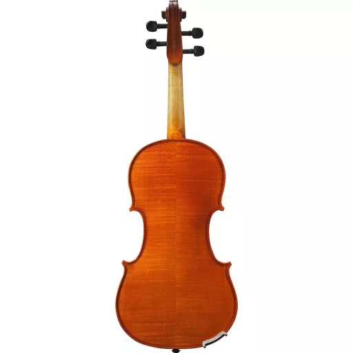 Set vioara acustica in carcasa