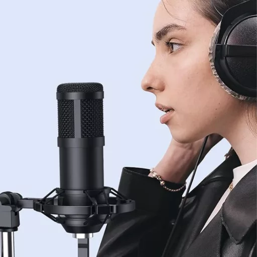 Microfon studio de birou, cu conector USB