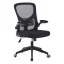Scaun de birou ergonomic cu cotiera rabatabila, negru