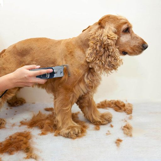 Aparat de tuns animale de companie cu capete inlocuibile, cu acumlator