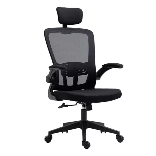 Scaun de birou ergonomic cu suport lombar si tetiera, negru