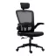 Scaun de birou ergonomic cu suport lombar si tetiera, negru