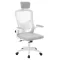 Scaun de birou ergonomic cu suport lombar si tetiera, gri