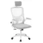 Scaun de birou ergonomic cu suport lombar si tetiera, gri