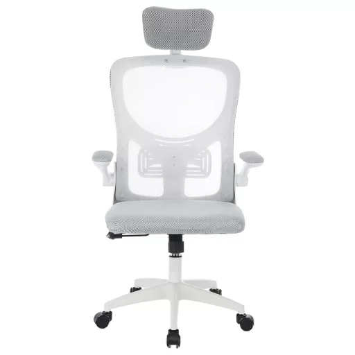 Scaun de birou ergonomic cu suport lombar si tetiera, gri