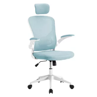   Scaun de birou ergonomic cu suport lombar si tetiera, albastru deschis