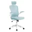 Scaun de birou ergonomic cu suport lombar si tetiera, albastru deschis