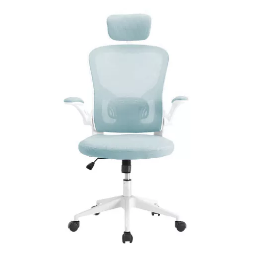 Scaun de birou ergonomic cu suport lombar si tetiera, albastru deschis