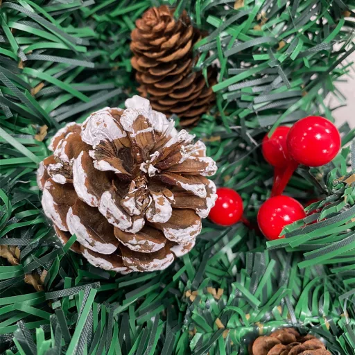 Coronita de usa pentru Craciun, 60 cm