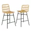 Set de 2 Scaune Bar din Poliratan