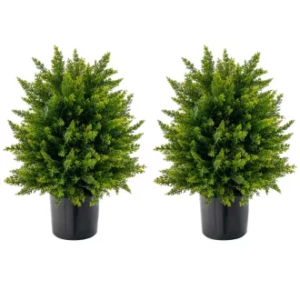 Set de plante artificiale din cedru, 2 piese