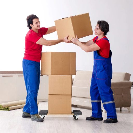 Carucior de Transport Mobilier