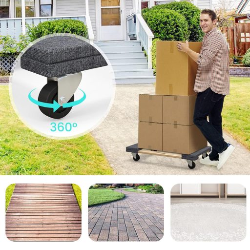 Carucior de Transport Mobilier