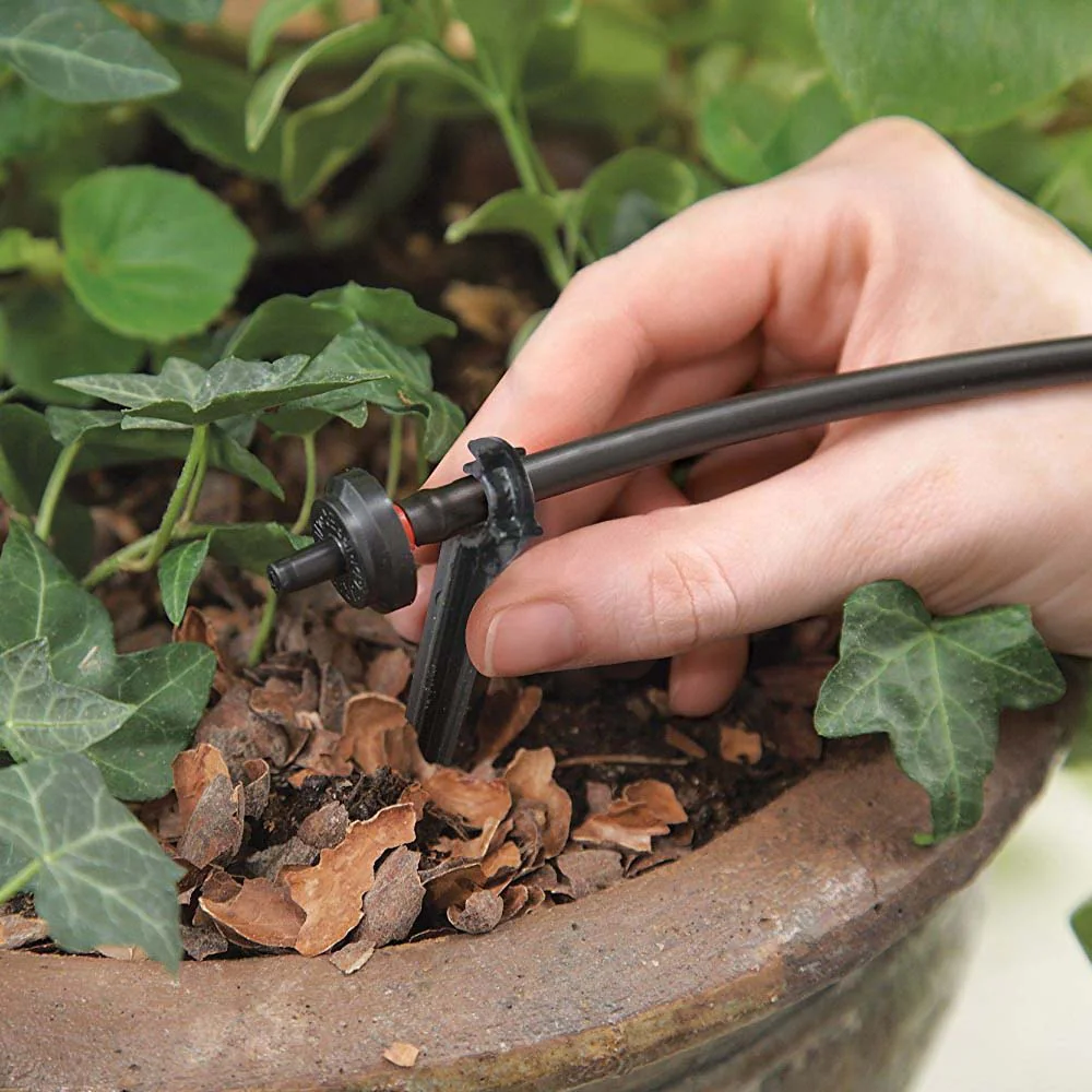 design modern de gradina cu pavaj si plante decorative