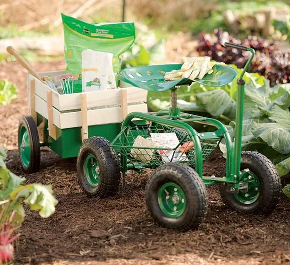 ingrijirea gazonului si a plantelor in gradina