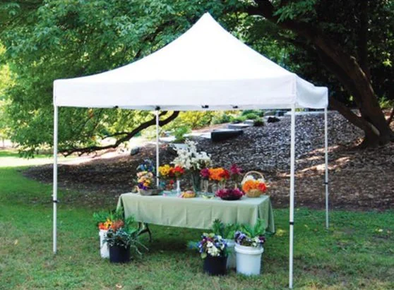 Pavilion langa zona de luat masa