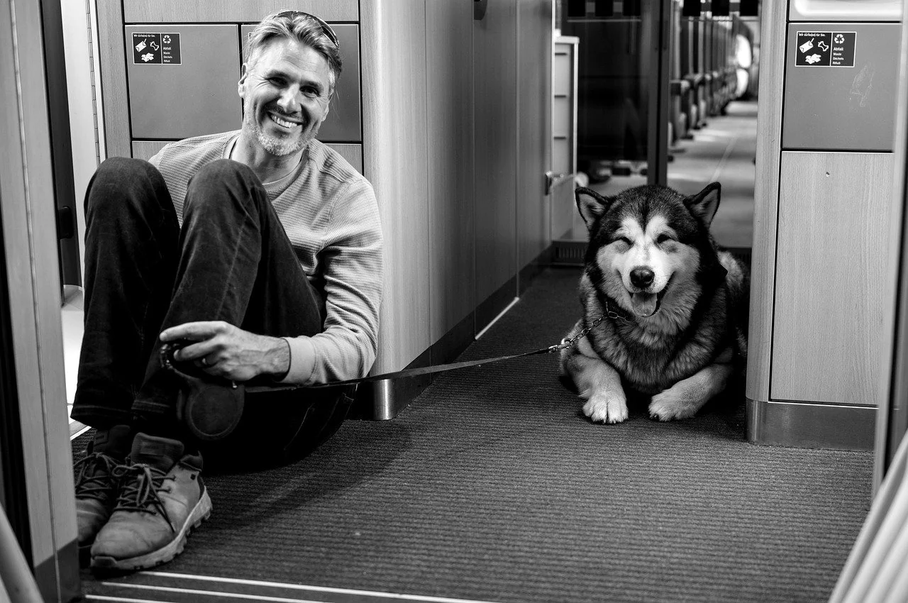 Câine transportat cu trenul