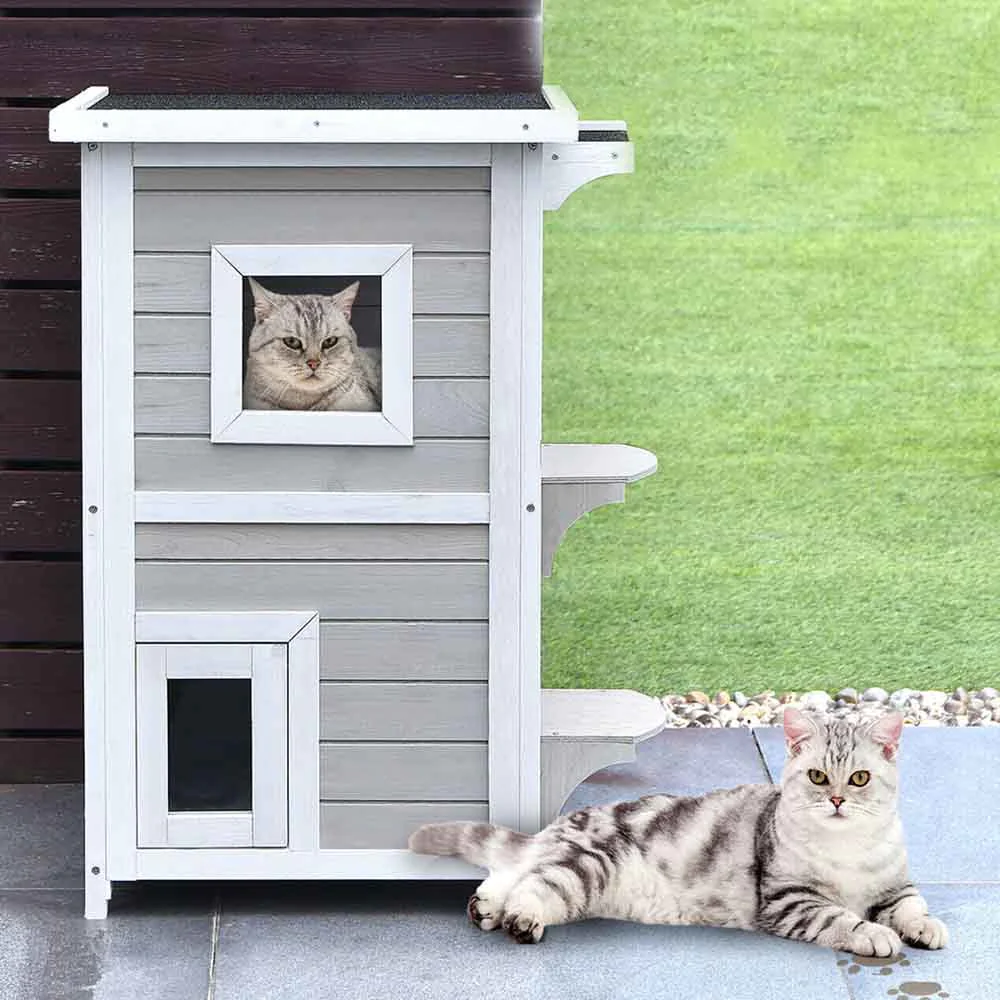 animal de companie fericit si sanatos in familie